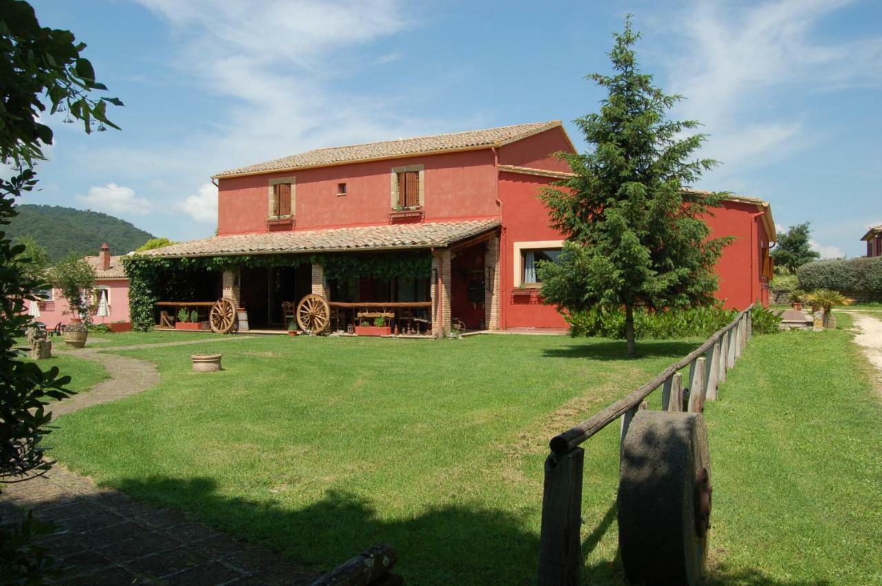 הוילה Ischia di Castro Agriturismo Castro מראה חיצוני תמונה