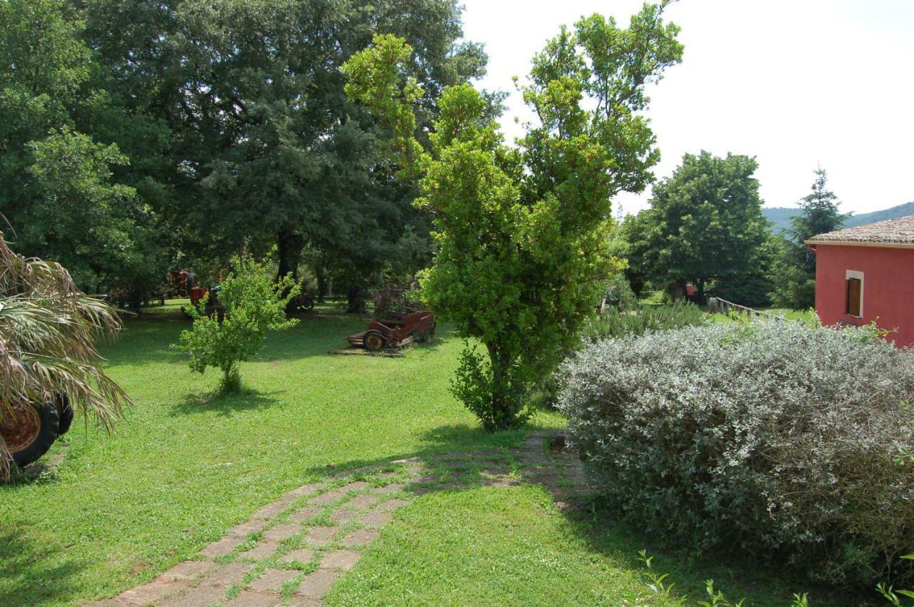 הוילה Ischia di Castro Agriturismo Castro מראה חיצוני תמונה